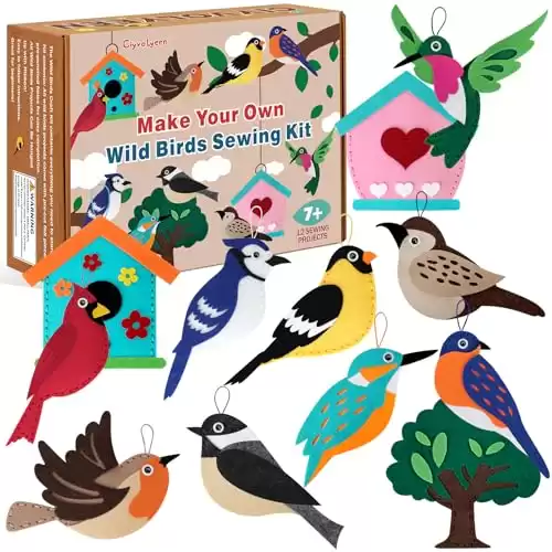 CiyvoLyeen Wild Birds Sewing Craft Kit Animal Sewing Kit for Boys and Girls Beginners Set of 12 Sewing Projects Gift for Kids